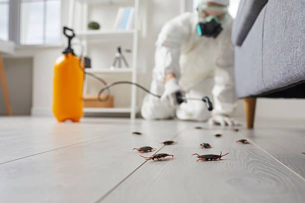 Affordable Cockroach Control solutions in North Weeki Wachee, FL